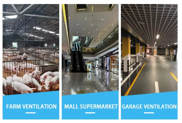 Centrifugal Ventilator Fan Centrifugal Ventilator Fan